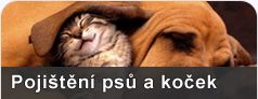 Pojitn psa do zahrani, pojitn psa na cesty, pojitn veterinrn pe, 